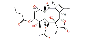 Cyclobutenbriarein A